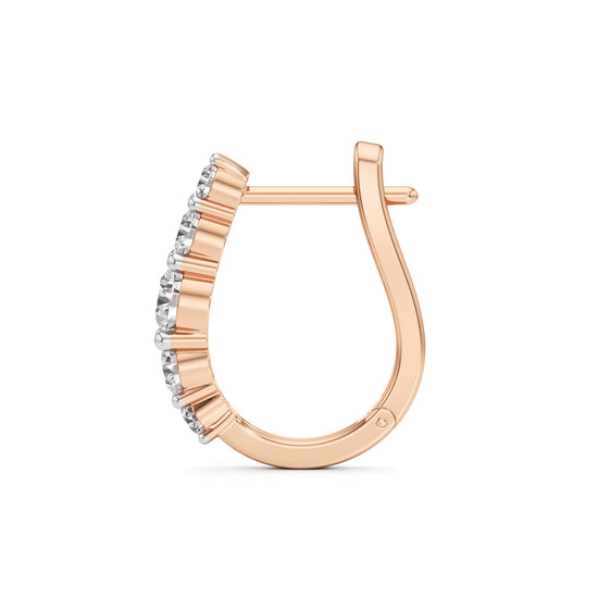 1Ct Round Shape Delicate Earrings