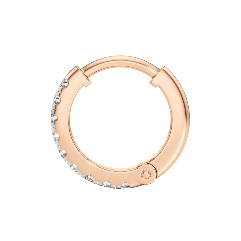 Glimmering Petals Round Shape Delicate Earrings