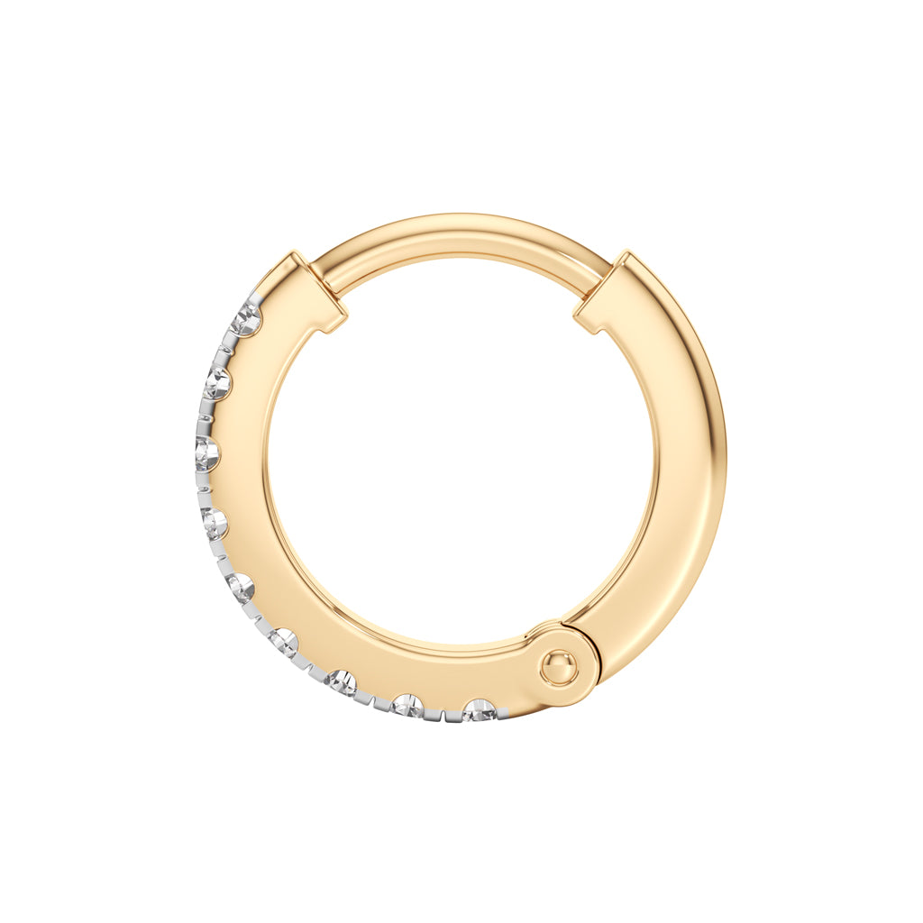 Glimmering Petals Round Shape Delicate Earrings