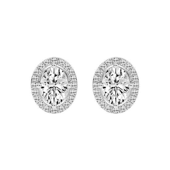 Veloura Halo Lab Diamond Stud Earrings