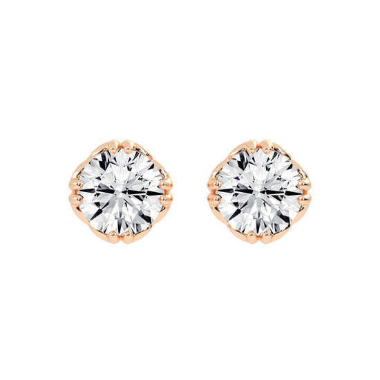 Crested Brilliance Studs