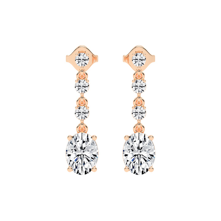 Dazzline Drop Dangle Earrings