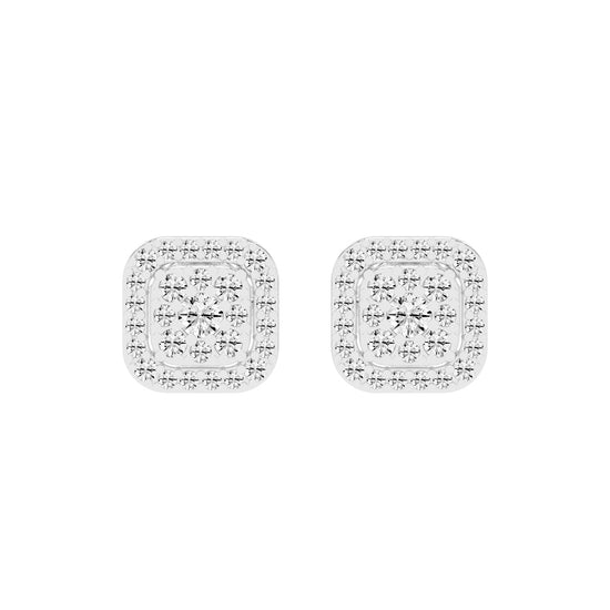 Regal Glow Double Halo Stud Earrings