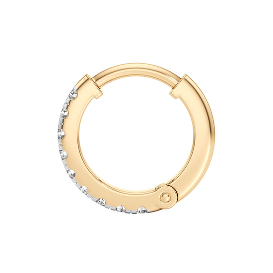 Glimmering Petals Round Shape Delicate Earrings