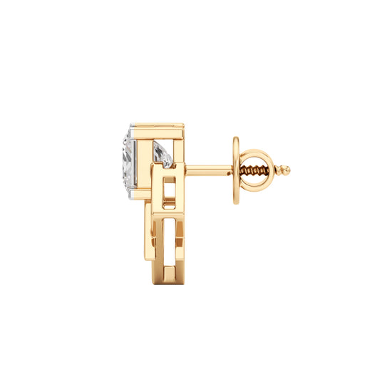 2Ct Princess Shape Fancy Studs Earrings
