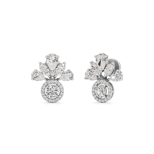 225Ct Luxe Fancy Studs