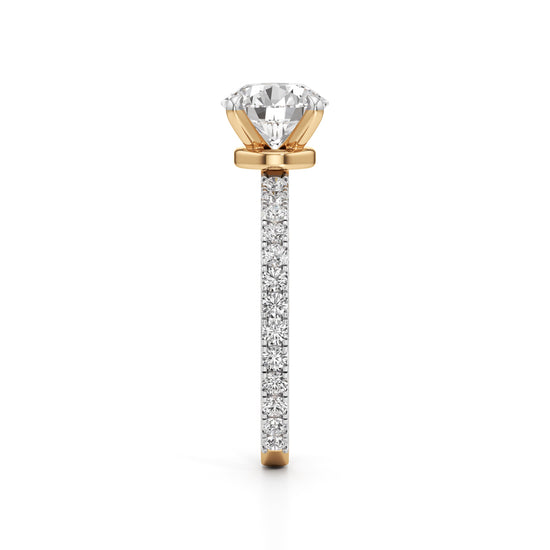 Arlette Everyday Solitaire