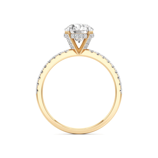 Round Solitaire with Double Encrusted Ring